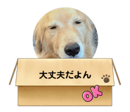 676560736