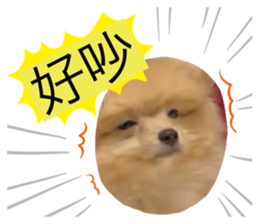676569605