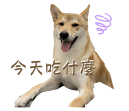 676571714