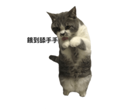 676573603