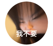 676573702