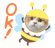 676602644