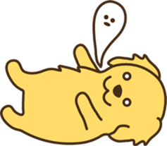 6766063