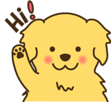6766081