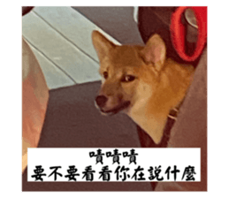676608817