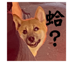 676608821