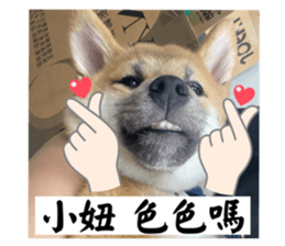 676608826