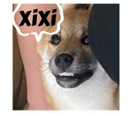676608829