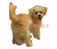 676640718