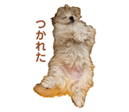 676640725