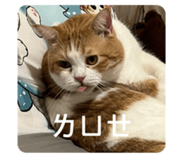 676641875