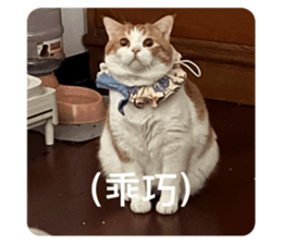 676641878