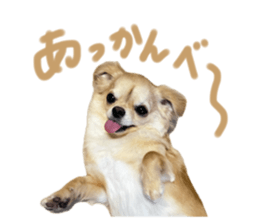 676644103