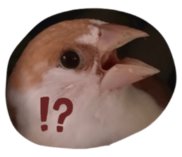 676648374