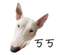 676651669