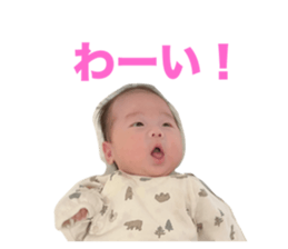 676653024