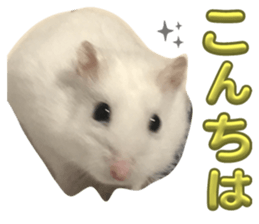 676653056