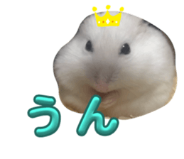 676653060