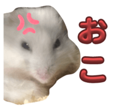 676653061