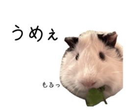 676667273