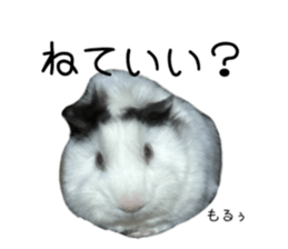 676667274