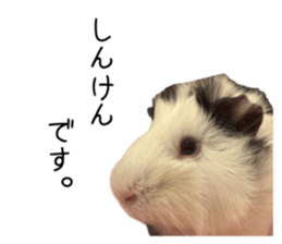 676667281