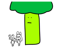 676681167
