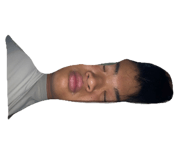 676686065