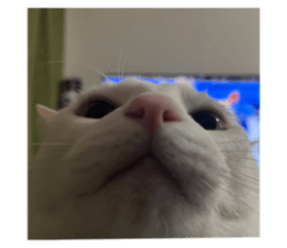 676686920