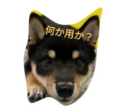 676691379