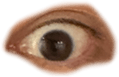 676698722