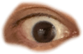 676698723