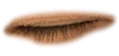 676698724