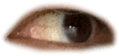 676698727