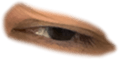 676698729