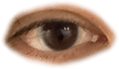 676698730