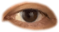 676698731