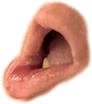 676698734