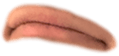 676698738