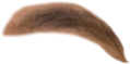 676698741