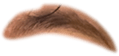676698744