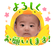 676710261