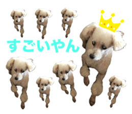 676714859
