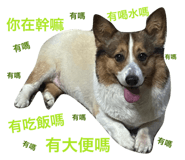 676731563