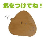 676739060