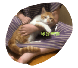 676777660