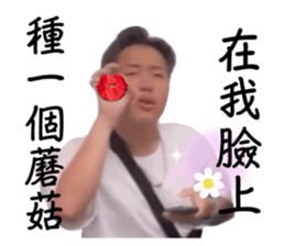 676812365