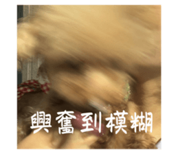 676833840