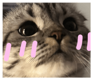 676854577