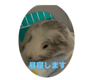 676865993